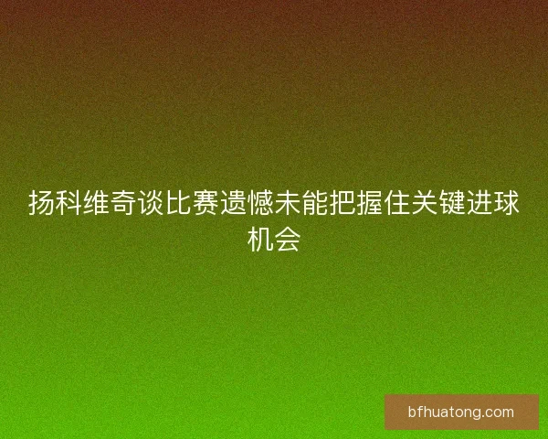 扬科维奇谈比赛遗憾未能把握住关键进球机会 扬科维奇谈比赛遗憾未能把握住关键进球机会